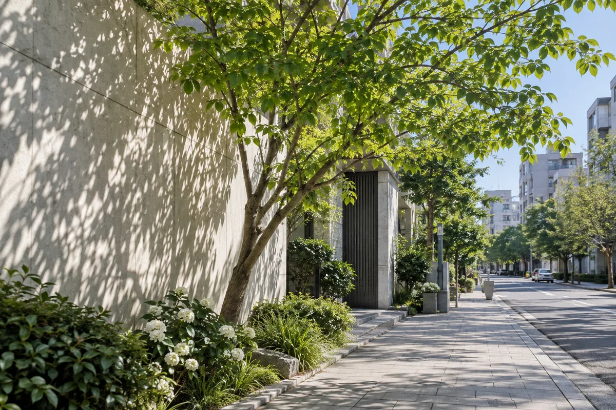 阳光与树影，示例配图